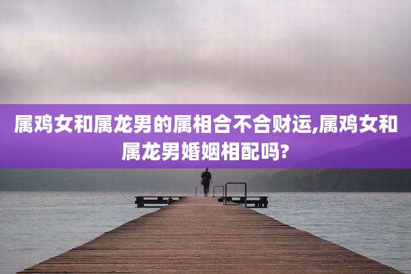属鸡女和属龙男的属相合不合财运,属鸡女和属龙男婚姻相配吗?