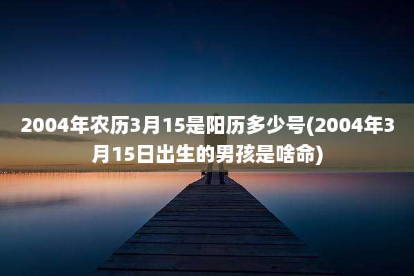 2004年农历3月15是阳历多少号(2004年3月15日出生的男孩是啥命)