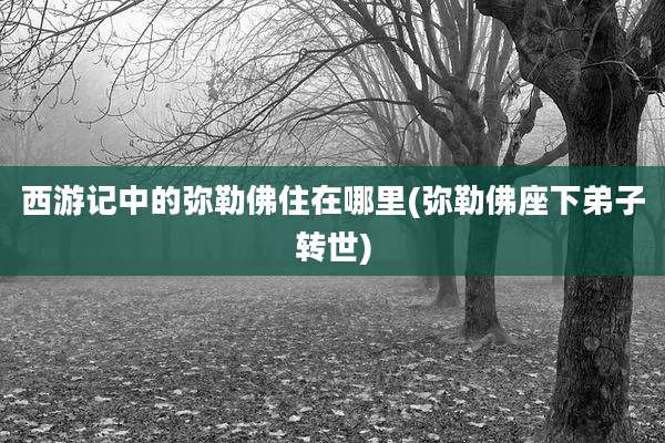 西游记中的弥勒佛住在哪里(弥勒佛座下弟子转世)