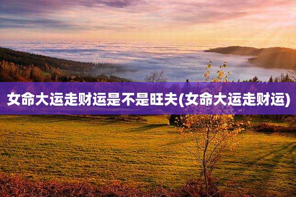 女命大运走财运是不是旺夫(女命大运走财运)