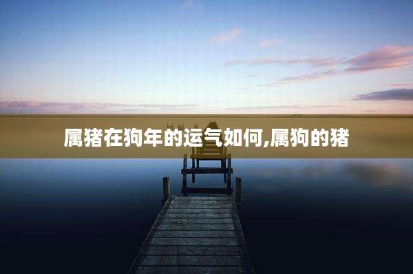 属猪在狗年的运气如何,属狗的猪