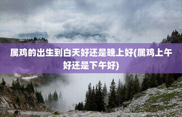 属鸡的出生到白天好还是晚上好(属鸡上午好还是下午好)