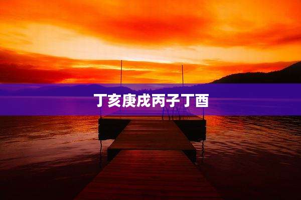 丁亥庚戌丙子丁酉
