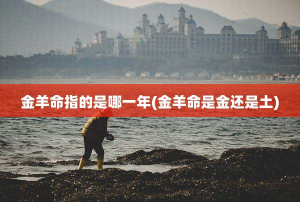 金羊命指的是哪一年(金羊命是金还是土)