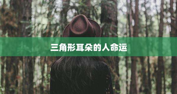 三角形耳朵的人命运