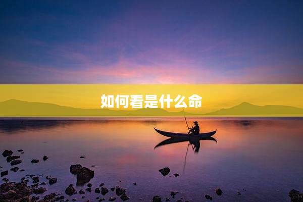 如何看是什么命