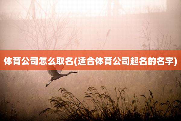 体育公司怎么取名(适合体育公司起名的名字)
