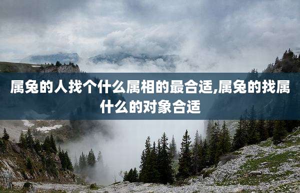 属兔的人找个什么属相的最合适,属兔的找属什么的对象合适