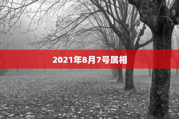 2021年8月7号属相