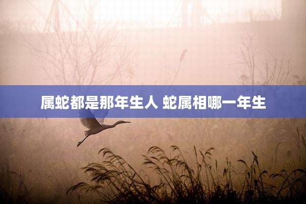 属蛇都是那年生人 蛇属相哪一年生