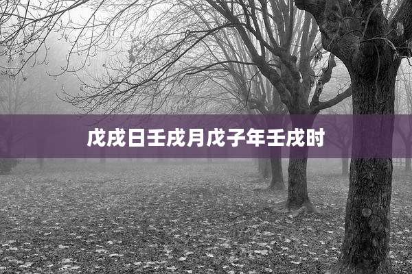 戊戌日壬戌月戊子年壬戌时