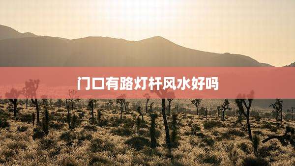 门口有路灯杆风水好吗