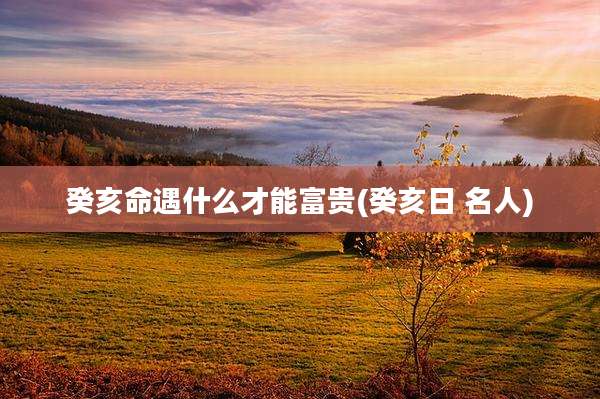 癸亥命遇什么才能富贵(癸亥日 名人)