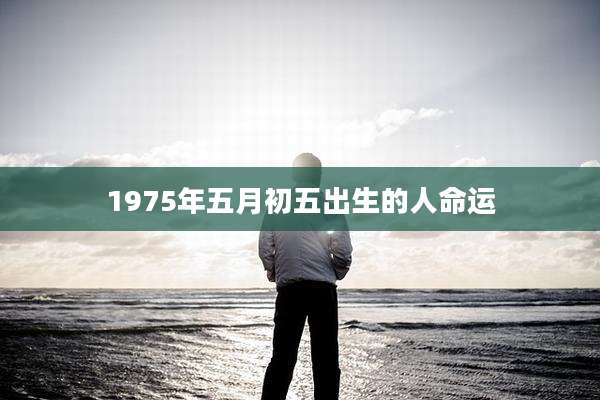 1975年五月初五出生的人命运