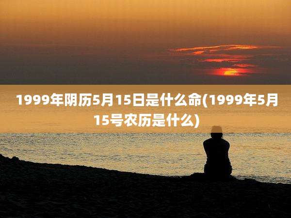 1999年阴历5月15日是什么命(1999年5月15号农历是什么)