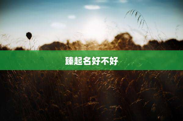 臻起名好不好