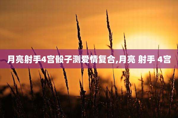 月亮射手4宫骰子测爱情复合,月亮 射手 4宫