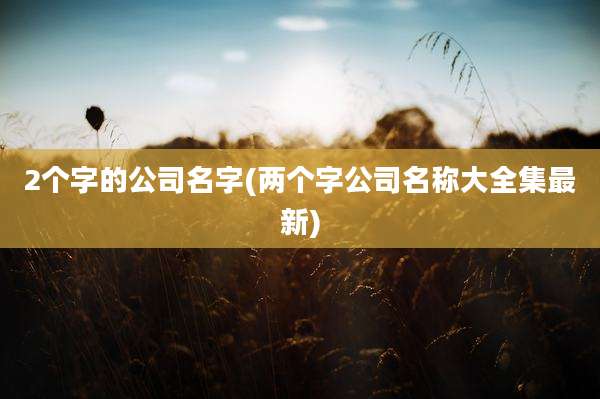 2个字的公司名字(两个字公司名称大全集最新)