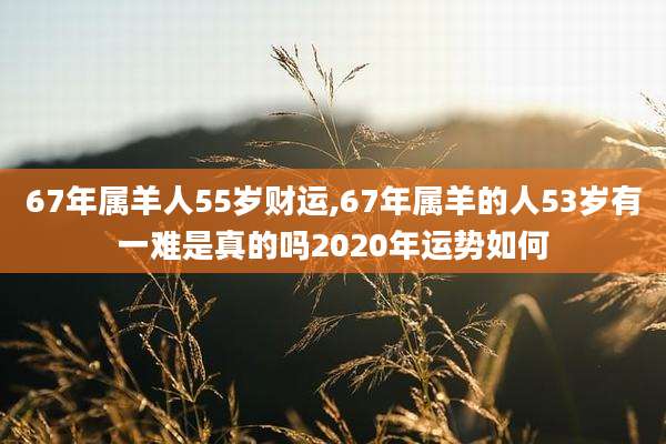 67年属羊人55岁财运,67年属羊的人53岁有一难是真的吗2020年运势如何