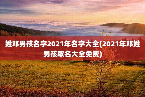 姓邓男孩名字2021年名字大全(2021年邓姓男孩取名大全免费)