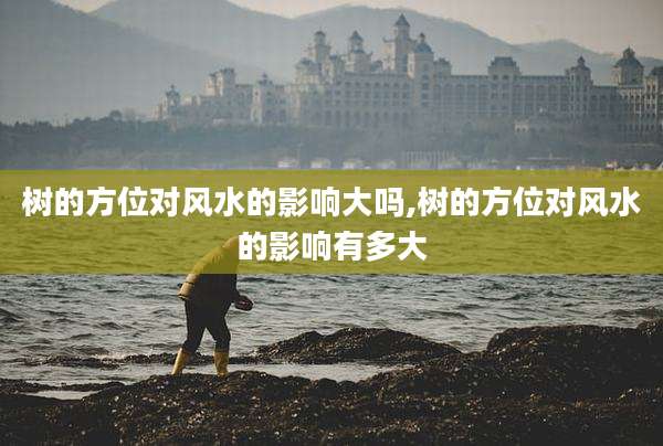 树的方位对风水的影响大吗,树的方位对风水的影响有多大