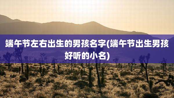 端午节左右出生的男孩名字(端午节出生男孩好听的小名)