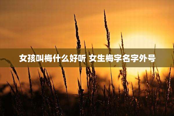 女孩叫梅什么好听 女生梅字名字外号