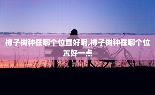 柿子树种在哪个位置好呢,柿子树种在哪个位置好一点