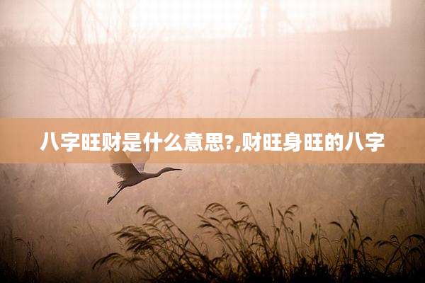 八字旺财是什么意思?,财旺身旺的八字