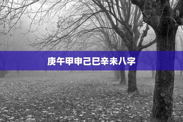 庚午甲申己巳辛未八字