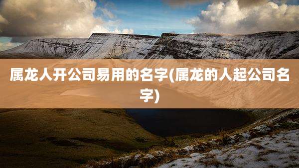 属龙人开公司易用的名字(属龙的人起公司名字)