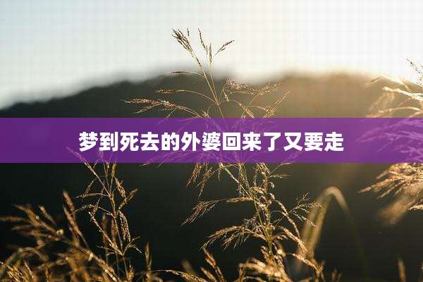 梦到死去的外婆回来了又要走
