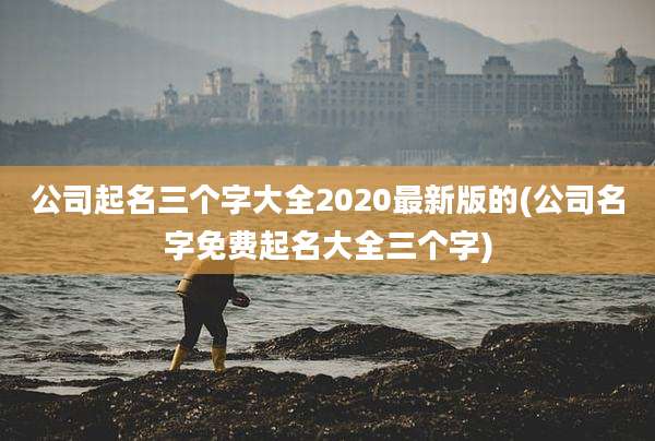 公司起名三个字大全2020最新版的(公司名字免费起名大全三个字)