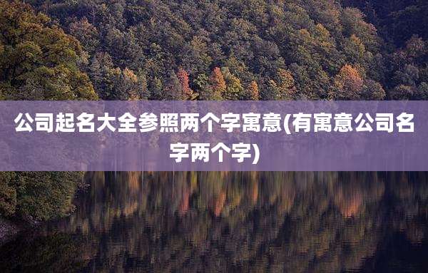 公司起名大全参照两个字寓意(有寓意公司名字两个字)