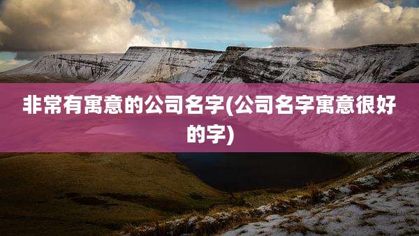 非常有寓意的公司名字(公司名字寓意很好的字)