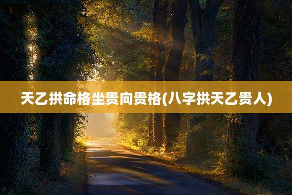 天乙拱命格坐贵向贵格(八字拱天乙贵人)
