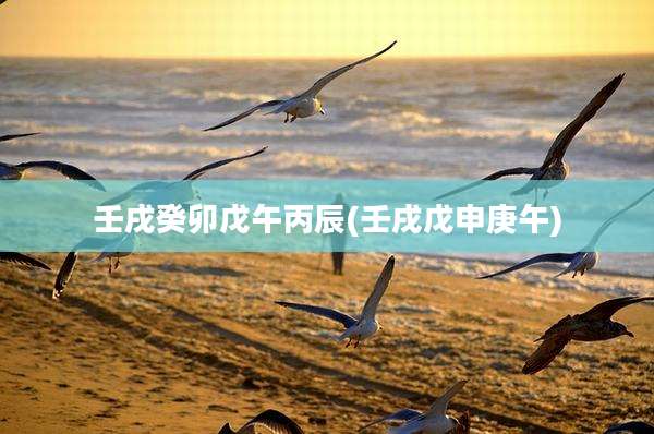壬戌癸卯戊午丙辰(壬戌戊申庚午)