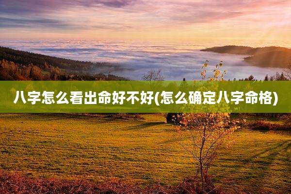八字怎么看出命好不好(怎么确定八字命格)