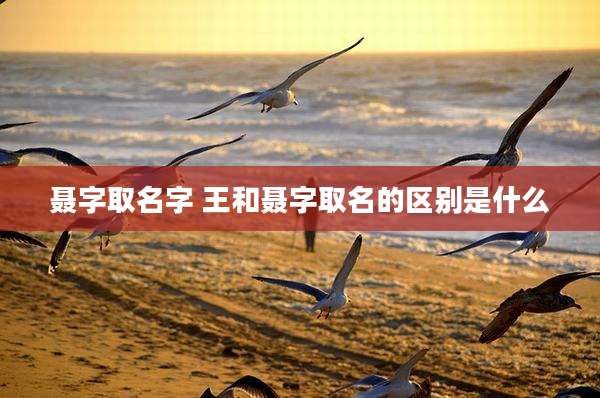 聂字取名字 王和聂字取名的区别是什么