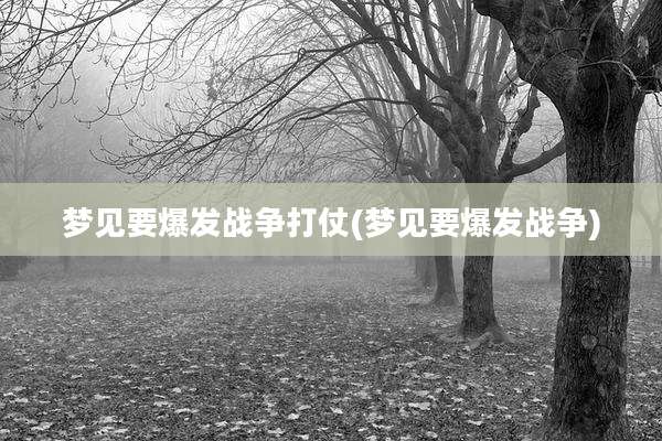 梦见要爆发战争打仗(梦见要爆发战争)