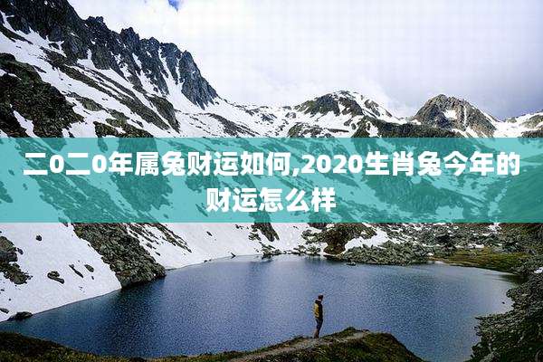 二0二0年属兔财运如何,2020生肖兔今年的财运怎么样