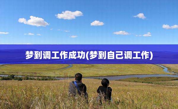 梦到调工作成功(梦到自己调工作)