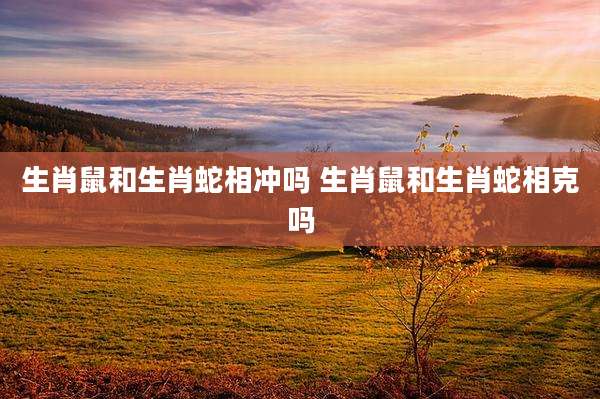 生肖鼠和生肖蛇相冲吗 生肖鼠和生肖蛇相克吗