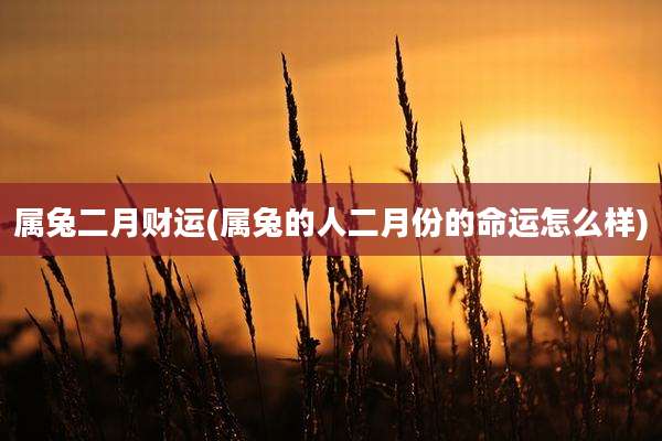 属兔二月财运(属兔的人二月份的命运怎么样)