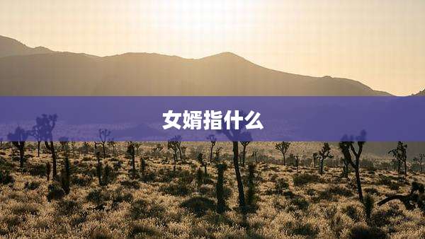 女婿指什么