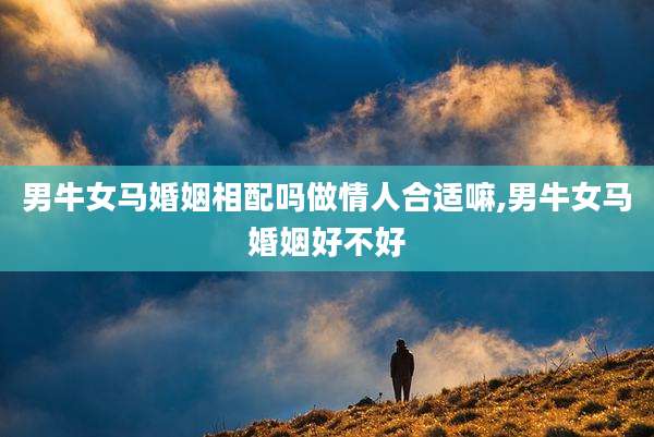 男牛女马婚姻相配吗做情人合适嘛,男牛女马婚姻好不好