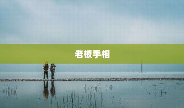 老板手相