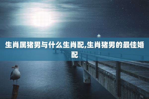 生肖属猪男与什么生肖配,生肖猪男的最佳婚配
