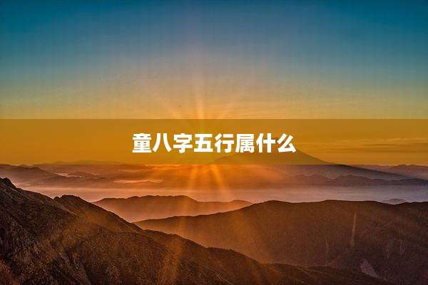 童八字五行属什么