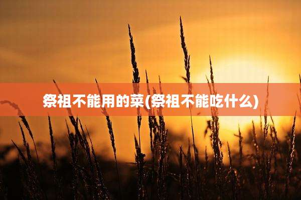 祭祖不能用的菜(祭祖不能吃什么)